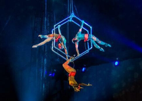 Air Trio: Luftakrobatik-Showact bei A Circus Symphony